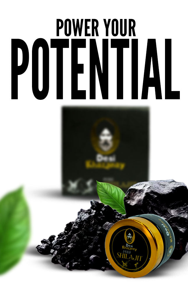 Desi Power Bundle – Original Shilajit, Joint Pain Oil & Hair Care - DESI KHAZANAY